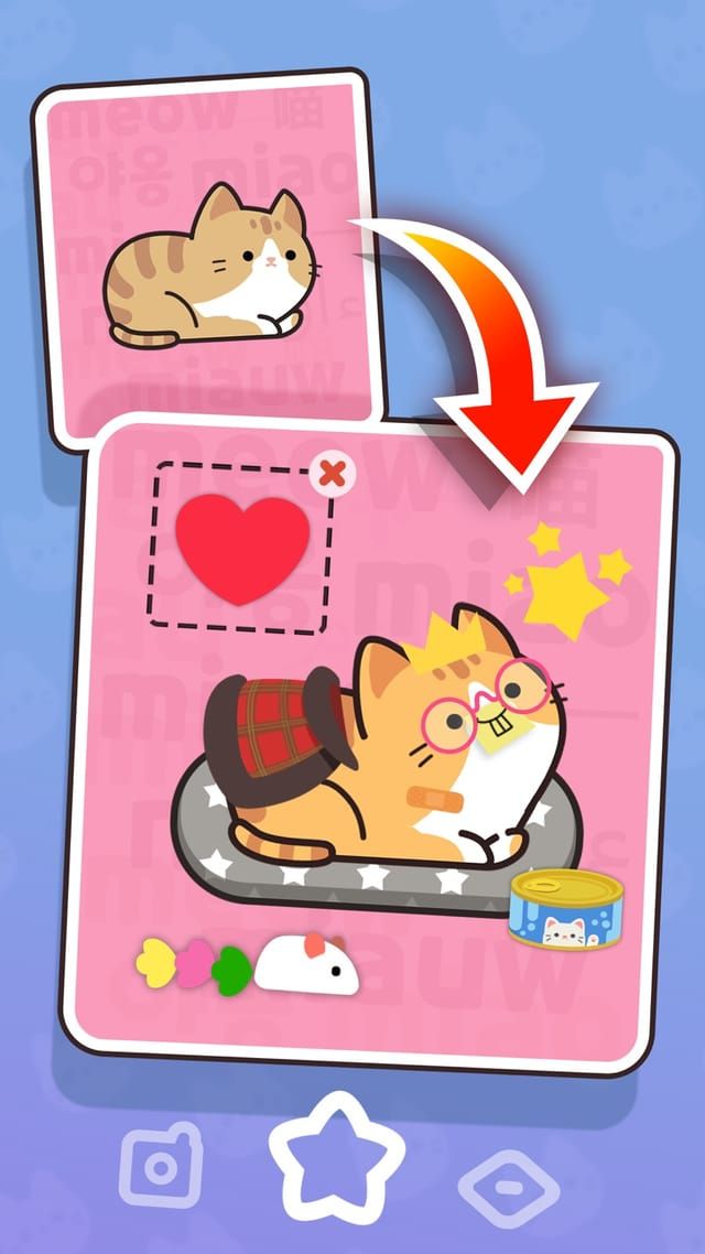 A photo card being decorated, an orange tabby cat placed on a cushion with a heart sticker, stars and a tin of food.